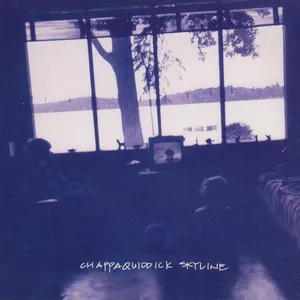 Chappaquiddick skyline